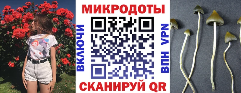 Псилоцибиновые грибы MAGIC MUSHROOMS  Тверь 